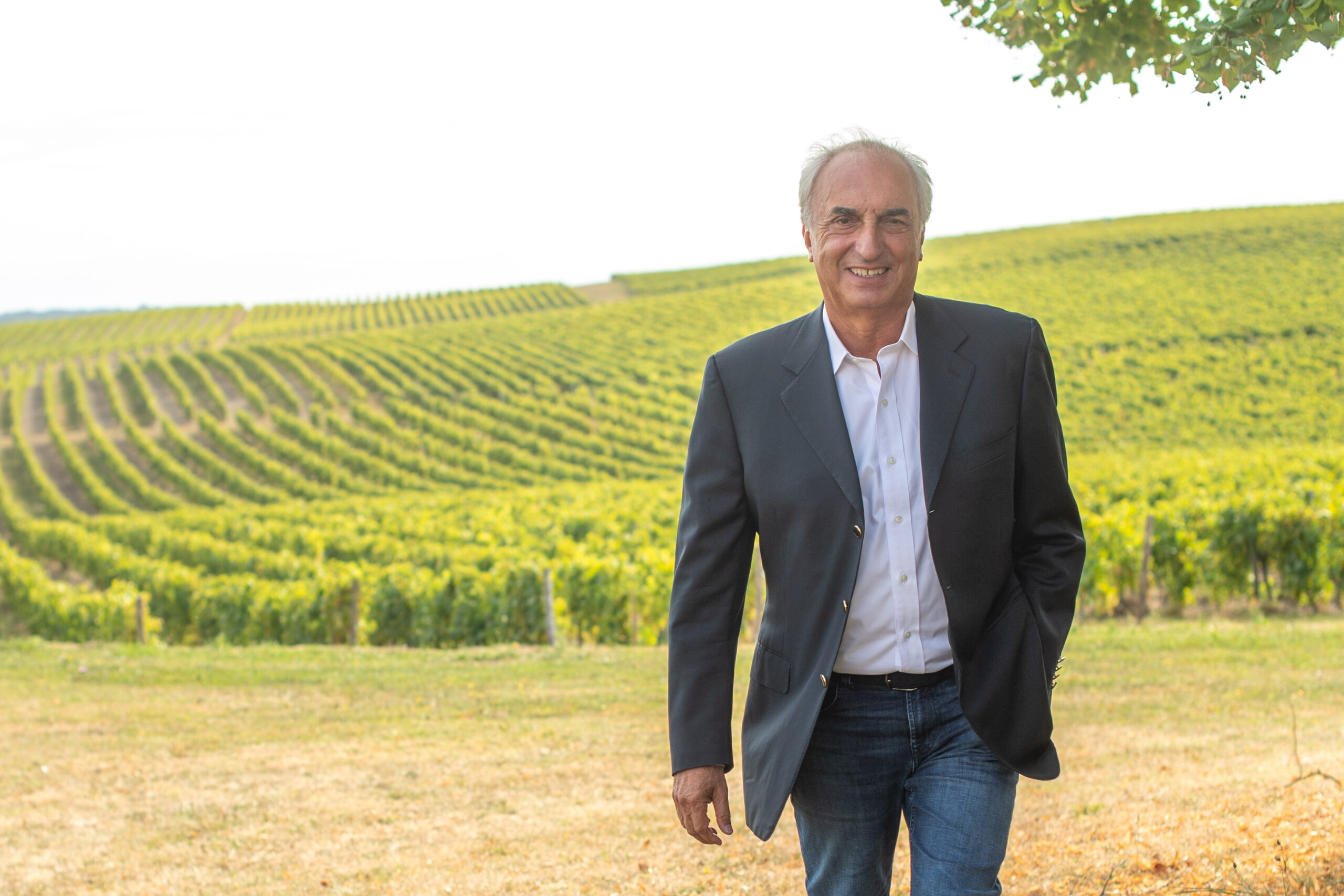 Vignes ensoleillées